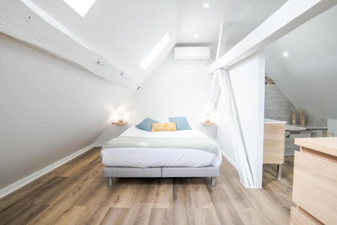 Comfortable Air-Conditioned T3 In The Heart Of Amboise With Parking Space Екстериор снимка
